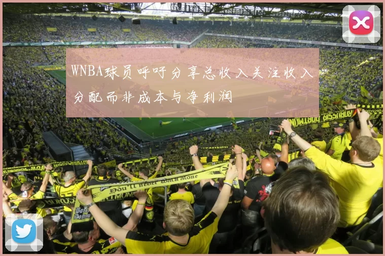 WNBA球员呼吁分享总收入关注收入分配而非成本与净利润