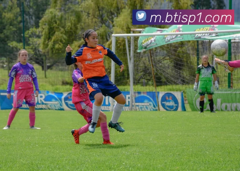 bti体育平台平台生态图